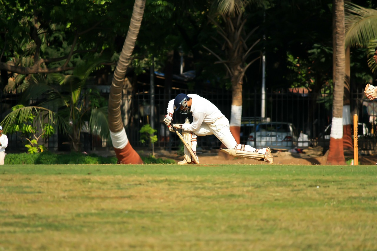 Cricket 166933 1280