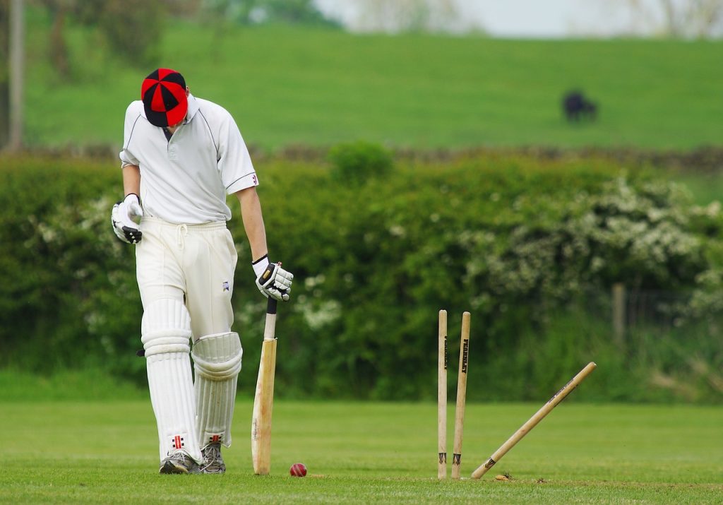 Unfortunately, he got mashed up by wicket Cricket 724616 1280 1024x715