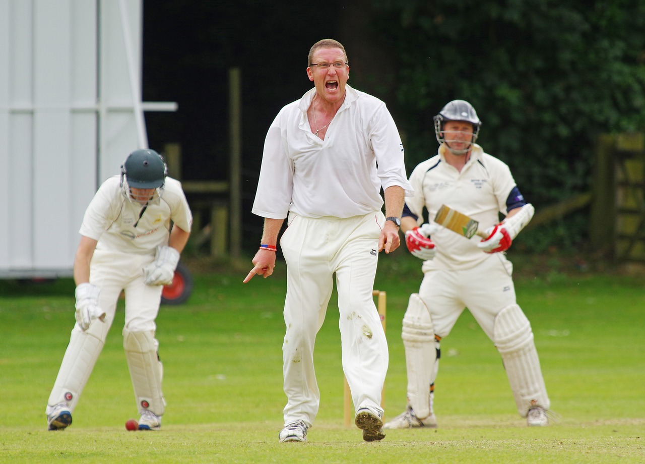 Cricket 724619 1280